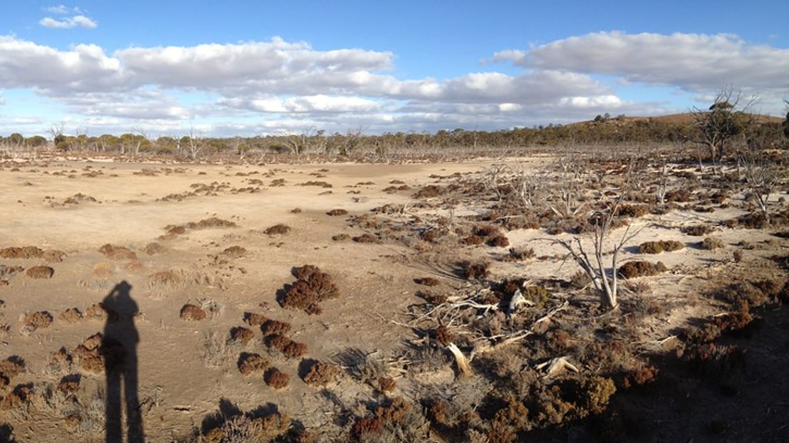Mapping Soil Salinity in GEE: Indices, Datasets and Code