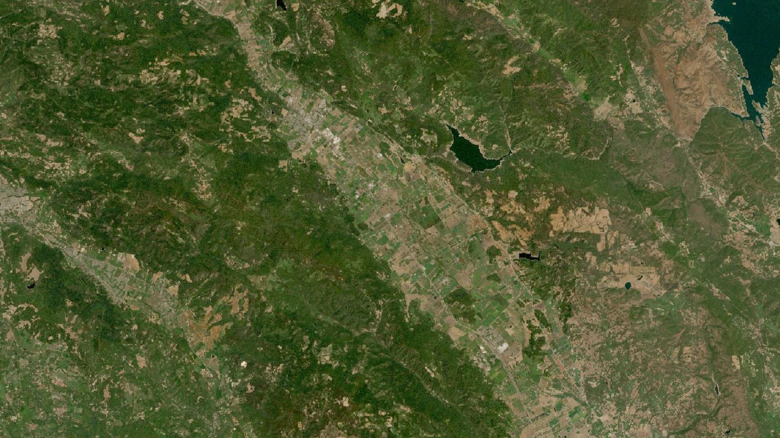 Landsat satellite view of Rutherford, Napa Valley