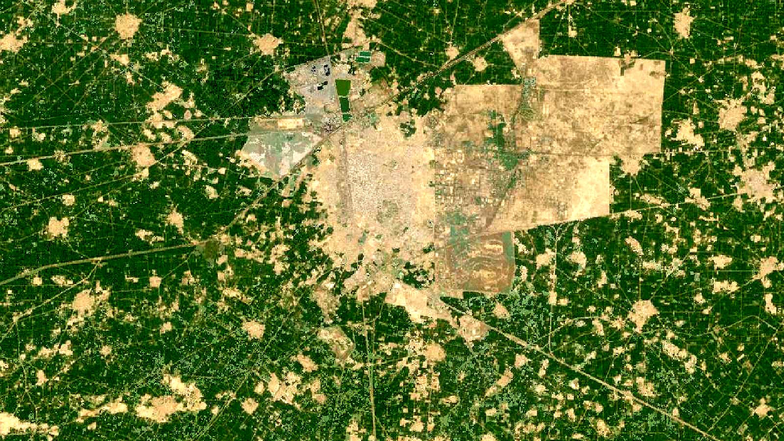 Landsat satellite view of farmland near Bathinda, Punjab