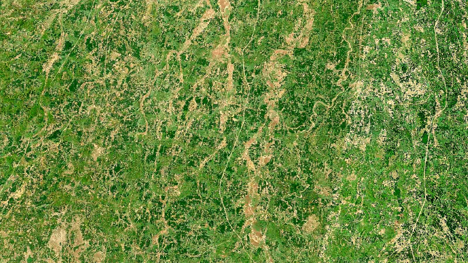 Landsat satellite view of the Kosi river in north Bihar