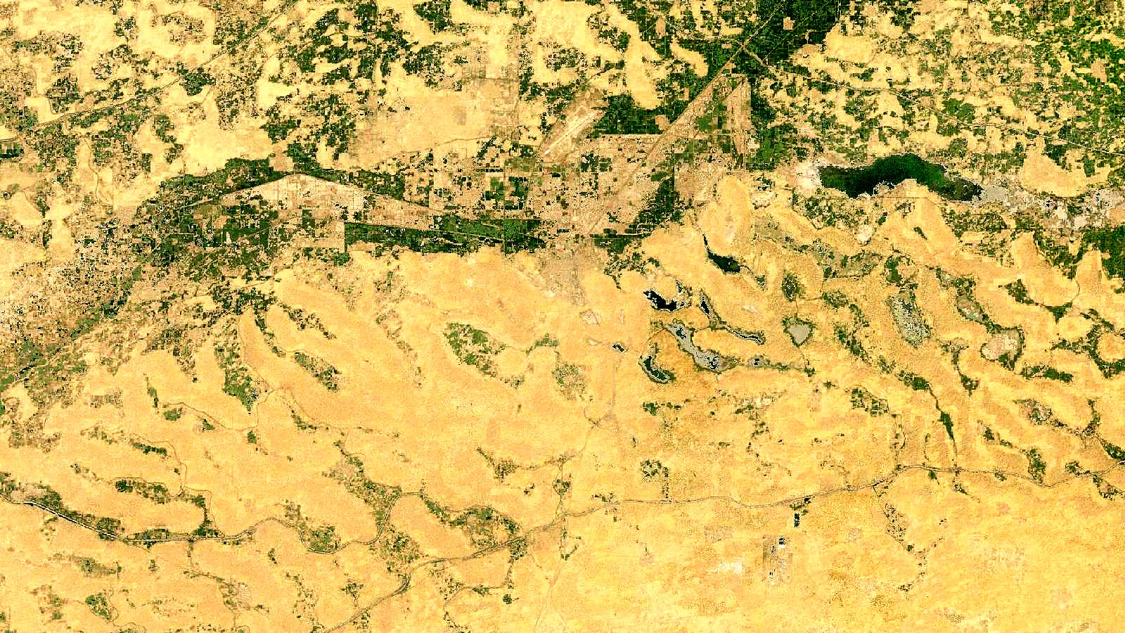 Landsat satellite view of the Indira Gandhi Canal command area near Suratgarh, Rajasthan