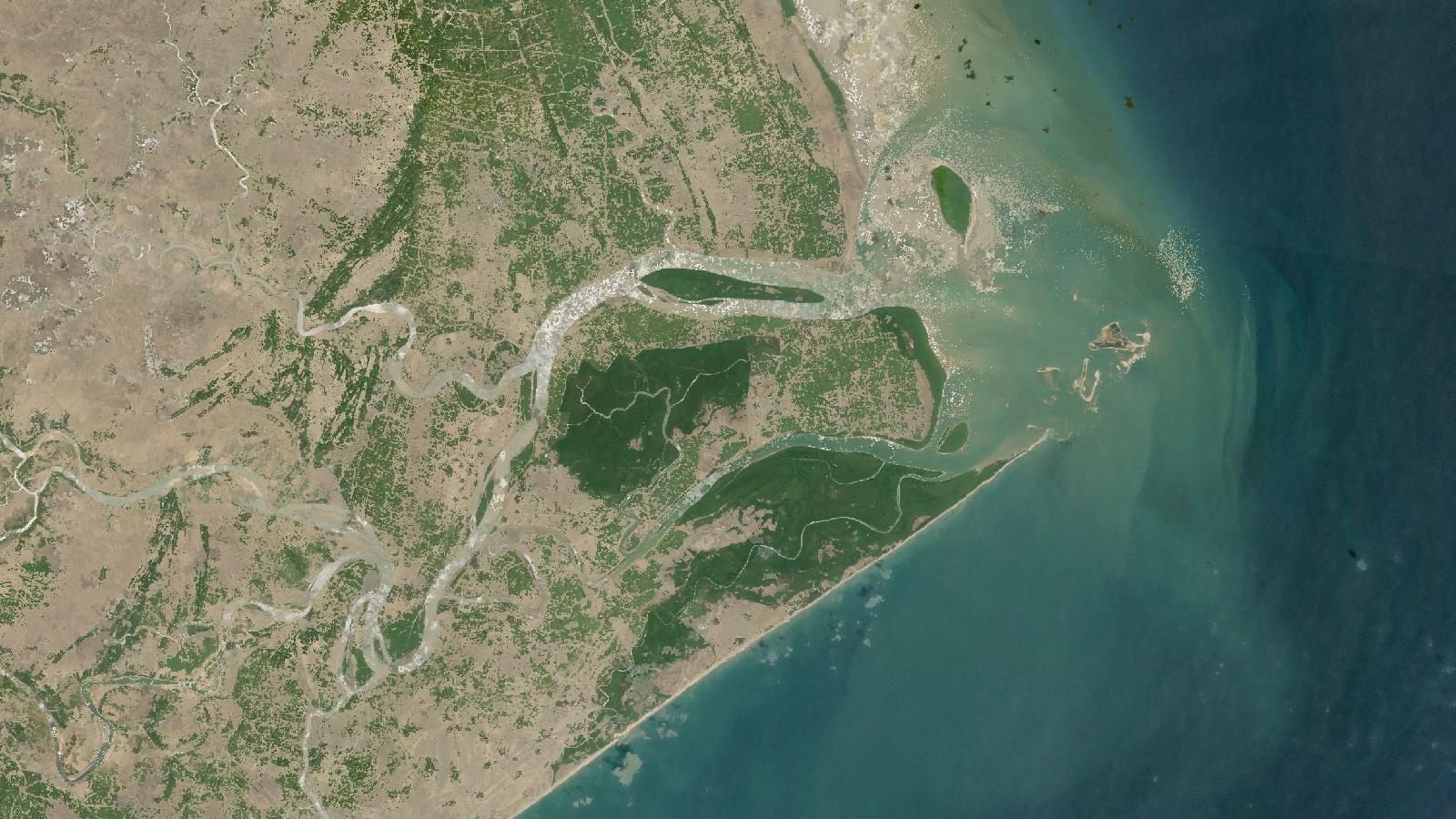 Illustration for "Mangrove Moisture Screening in QGIS with Sentinel-2 NDMI"
