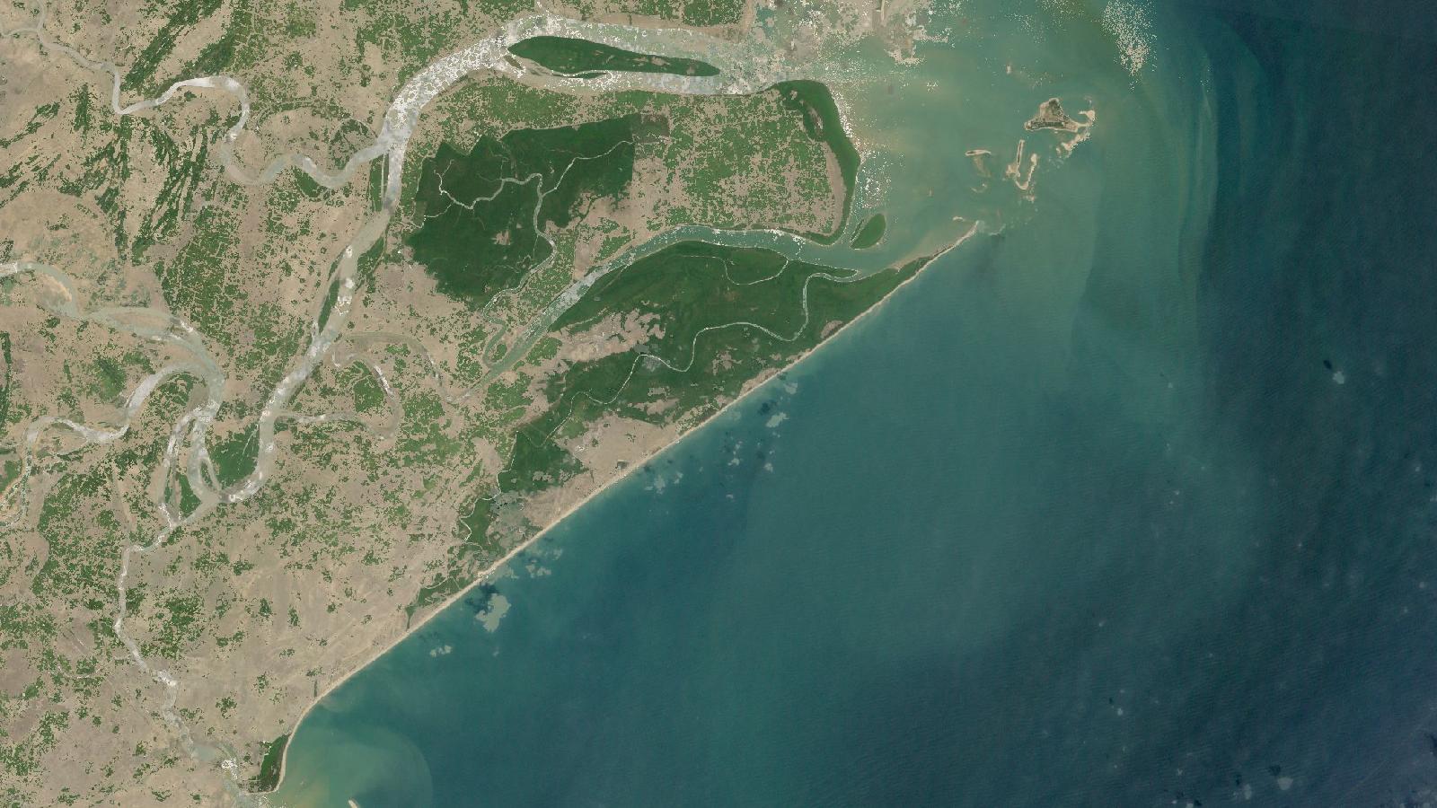 Illustration for "Measure Mangrove Area Reliably in QGIS: Bhitarkanika CRS Workflow"