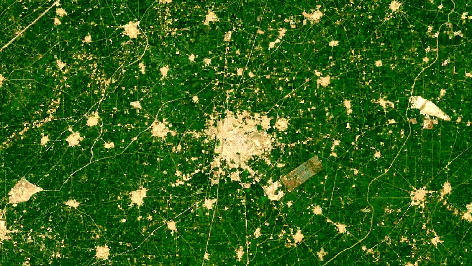 Landsat satellite view of farmland near Sangrur, Punjab