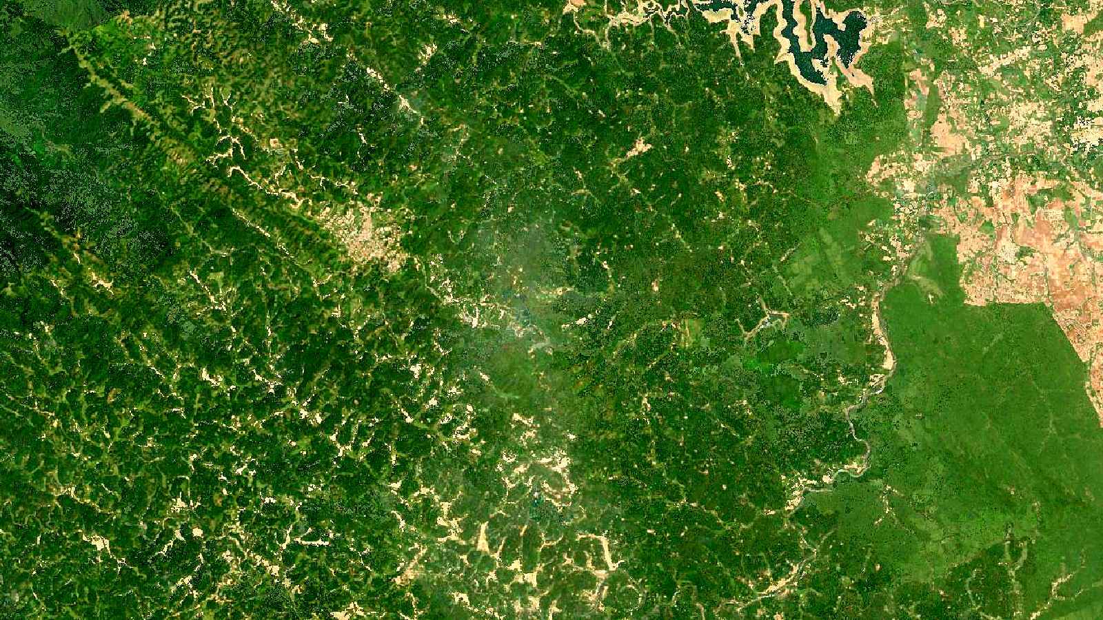Landsat satellite view of the Western Ghats around Kodagu, Karnataka