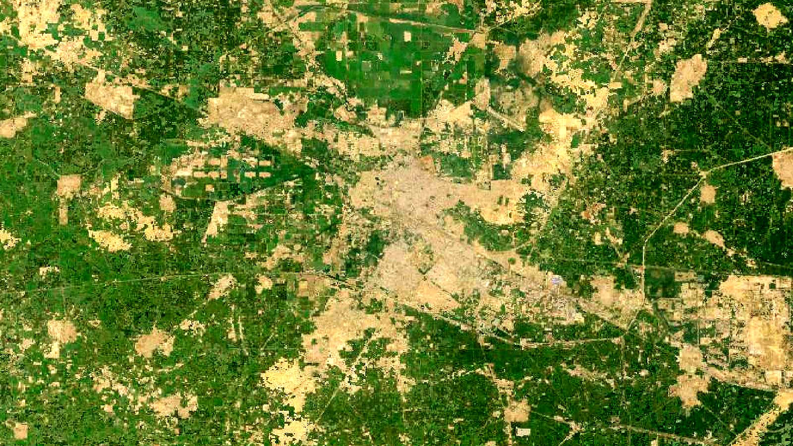 Landsat satellite view of farmland near Hisar, Haryana