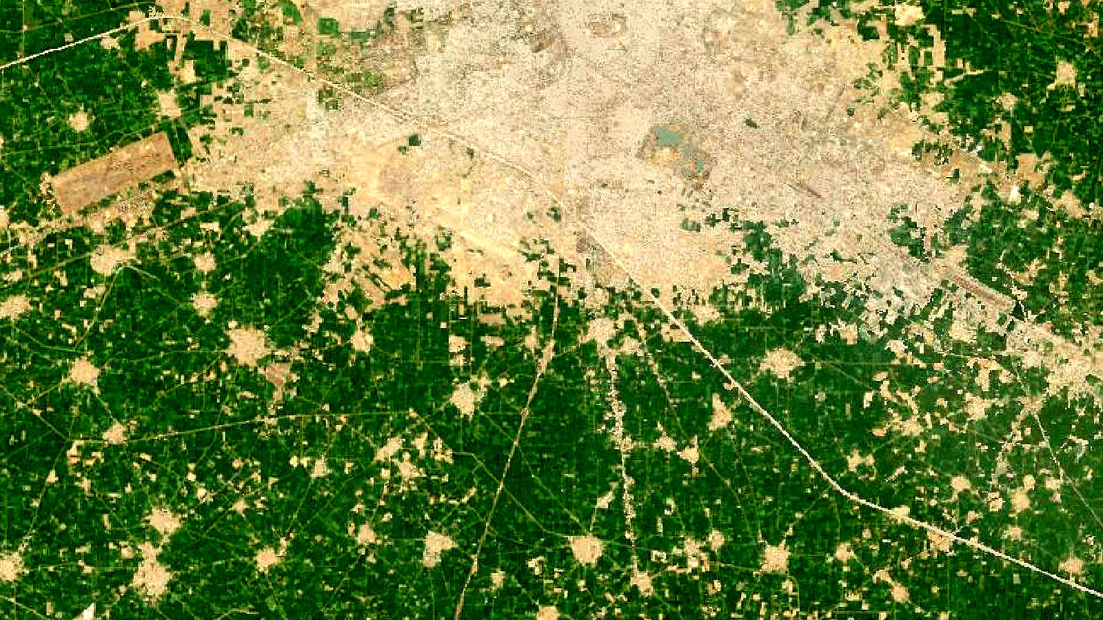 Landsat satellite view of farmland mosaic near Ludhiana, Punjab