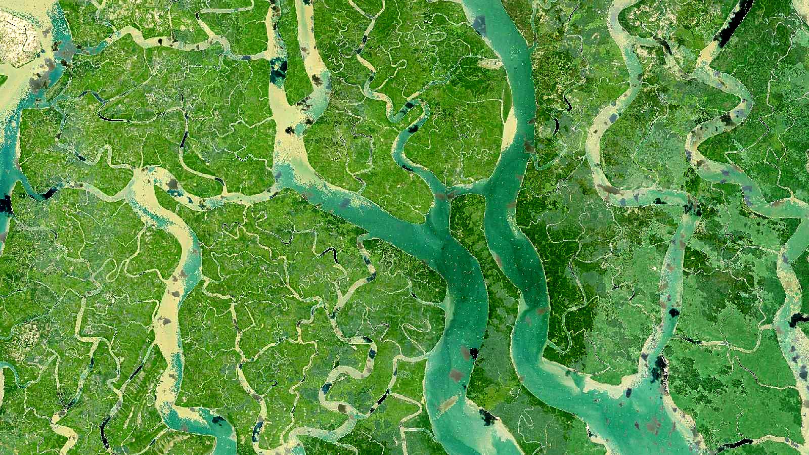 Landsat satellite view of the Sundarbans delta