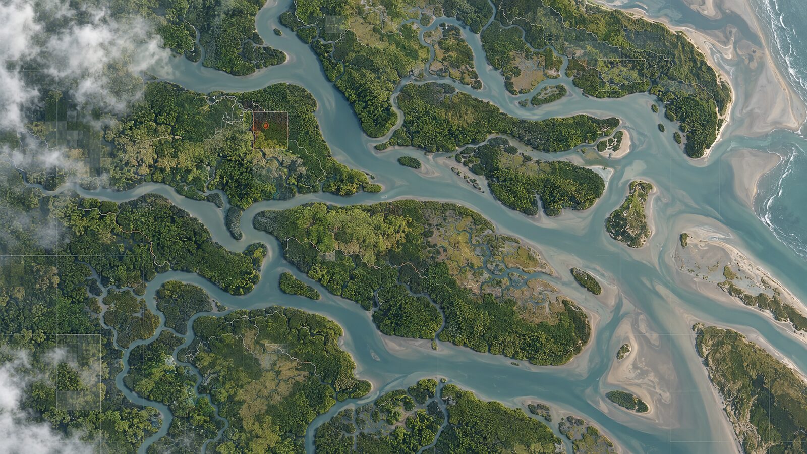 Illustration for "Mangrove Moisture Screening in QGIS with Sentinel-2 NDMI"